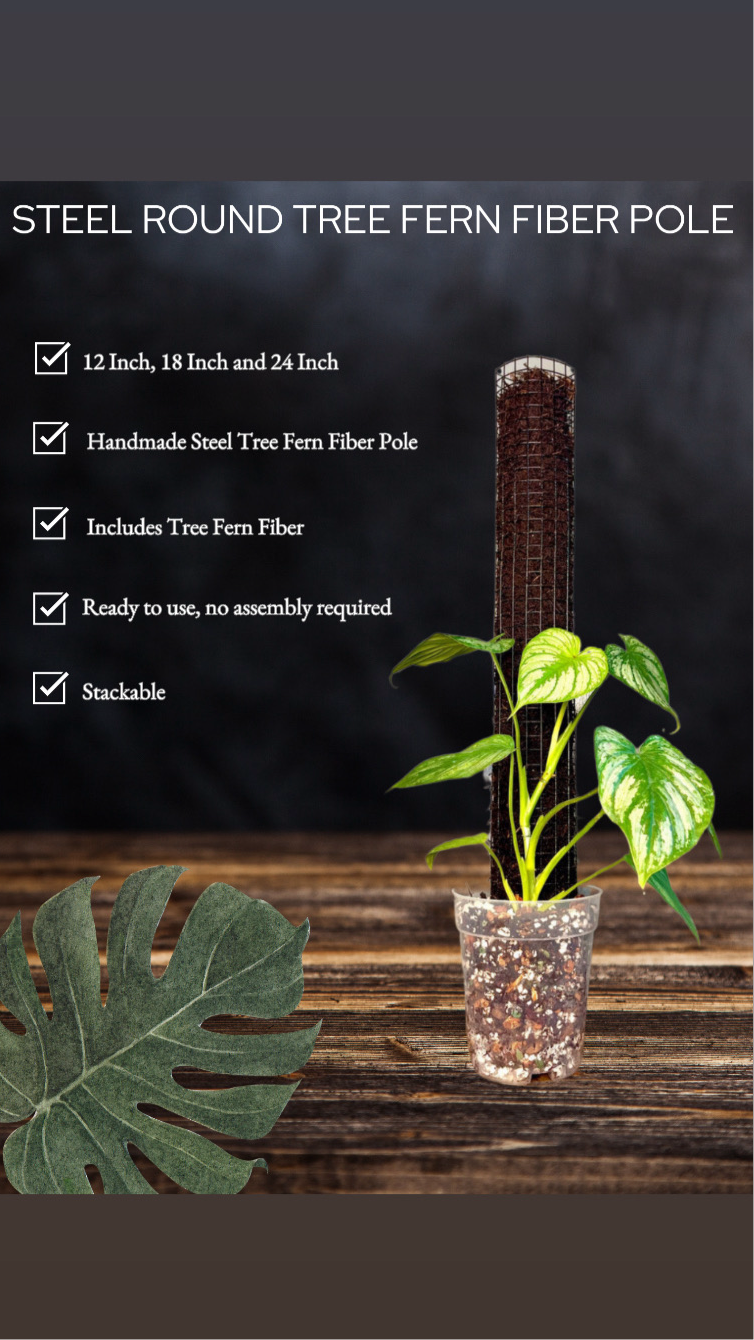 TREE FERN FIBER ROUND STEEL POLE