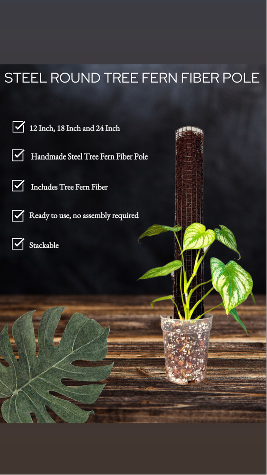 TREE FERN FIBER ROUND STEEL POLE