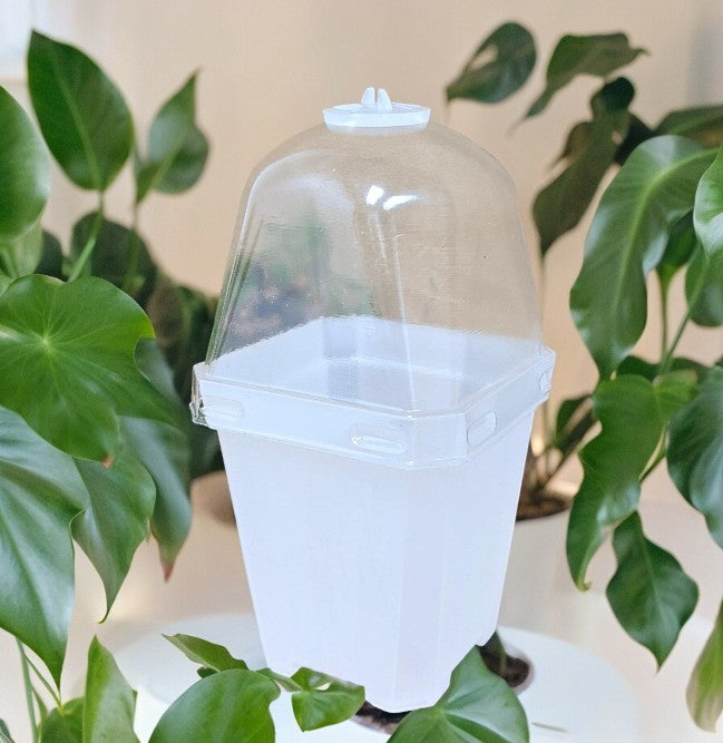 3” CLEAR NURSERY POTS WITH HUMIDITY DOME (5 PACK)