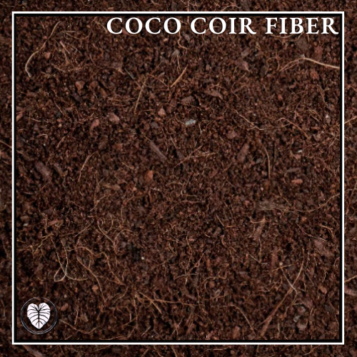 COCO COIR