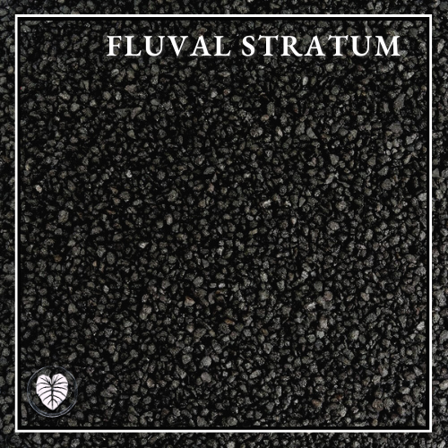 Fluval Stratum