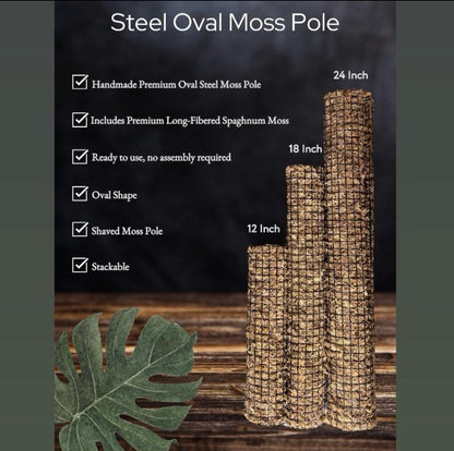 STEEL OVAL MOSS POLE