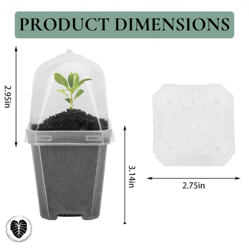 3” CLEAR NURSERY POTS WITH HUMIDITY DOME (5 PACK)