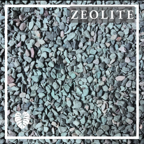 ZEOLITE