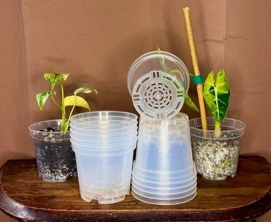 4” CLEAR NURSERY POTS (5 PACK)