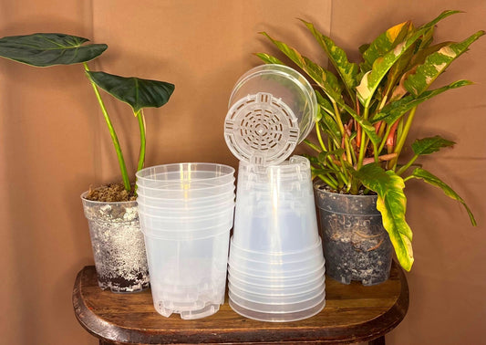 5.2” CLEAR NURSERY POTS (5 PACK)